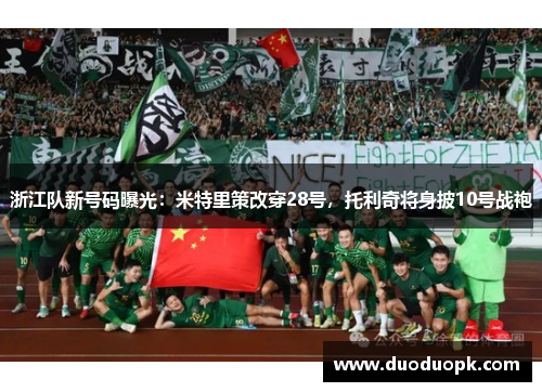 浙江队新号码曝光：米特里策改穿28号，托利奇将身披10号战袍